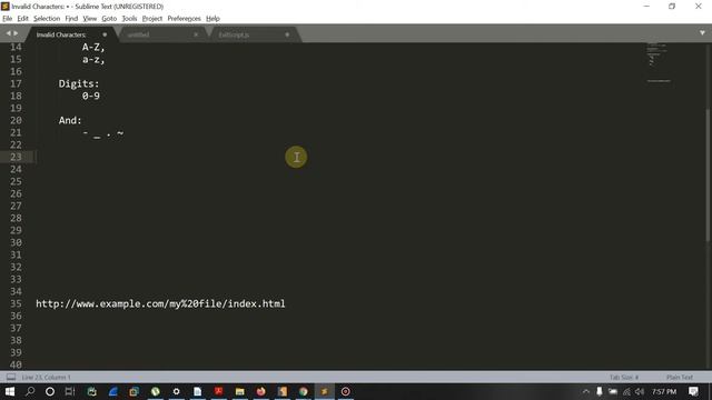 URL Encoding VS HTML Encoding | Cyber Security
