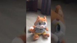 Крошка енот