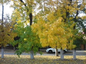 Красивая  природа Кубани