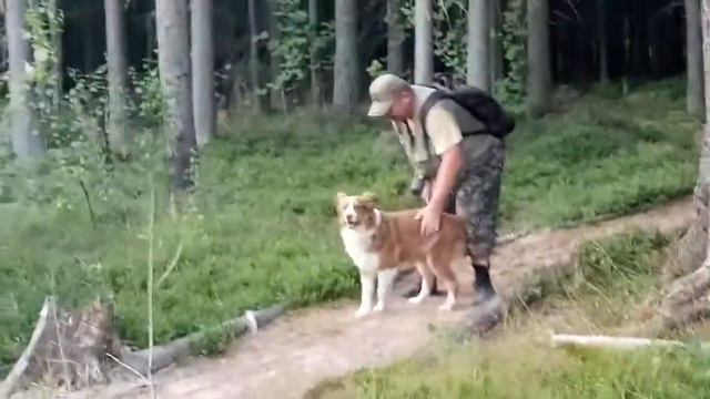 Аусси встреча хозяина