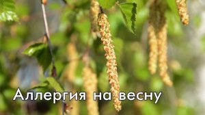Аллергия на весну. Как начало весны может испортить здоровье? Поллиноз.