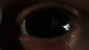 Whitechapel - A Bloodsoaked Symphony (OFFICIAL VIDEO)