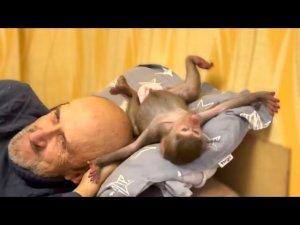 Люська устраивает нам с Владом ВЕЧЕРНИЙ ЭКШН!