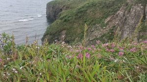 01-09-2024 Прогулка в бухту Островную