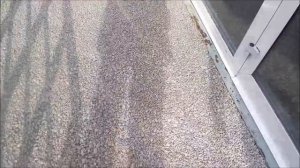 Устройство крыльца из дренажного полимербетона