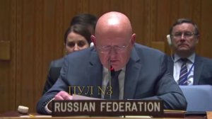 Василий Небензя разносит Замгенсека ООН Розмари ди Карло в пух!