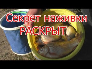 Рыбалка. Супер наживка для ловли карася.My fishing