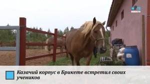 Казачий корпус в Брикете встретил своих учеников