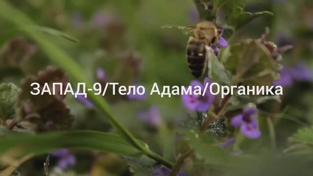 Как оживить неживое? смотреть онлайн