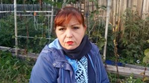 ВИНОГРАД В СИБИРИ РАСТЕТ! ЗИМОСТОЙКИЕ СОРТА.