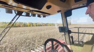 Жатка безрядковая для уборки подсолнечника ЖБП-8,4