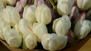 24 День родного языка. Каравай 17/03/18 @ТНВ