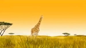 Kirikou le film complet
