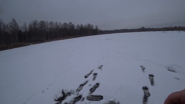 Первый лед в подмосковье щука на жерлицы 26.11.2023 смотреть онлайн