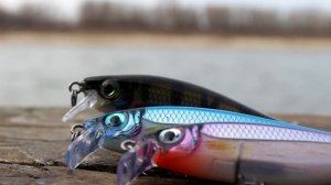 Rapala BX Minnow – поймай свой трофей!