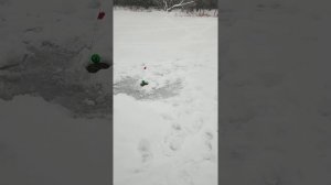 Рыбалка озере Гусиное в Мордово, Самарская область