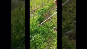 Универсальный садовый мини-культиватор для триммера