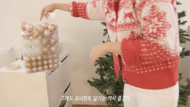 뉴욕 일상 브이로그 / 뉴욕 집 꾸미기, 크리스마스 장식, 장보기, 브룩클린 브런치, 서점구경, 도서관, 뉴욕증권거래소 트리구경, 집밥, 고양이, 페리타기, 미국 직장인 프리랜서