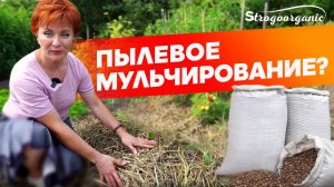 Мульчируем правильно: советы и рекомендации / Ученицы Strogoorganic