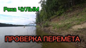 Проверка перемёта на хищника