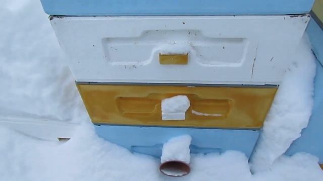 теплый холстик в январе у одной из семей пчел , что делать - зимовка пчел смотреть онлайн