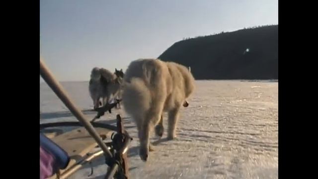 Собачья Сказка. Спецпроект Телевизионного Агентства Урала (ТАУ) 2003 год. смотреть онлайн