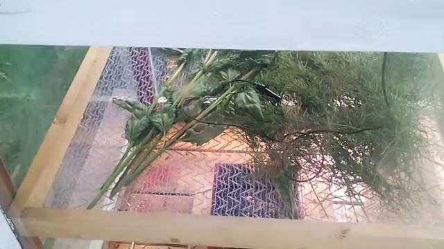 ☢Электросушилка☢ - самый простой и рабочий АГРЕГАТ для дачи или дома своими руками 전기 건조기 смотреть онлайн