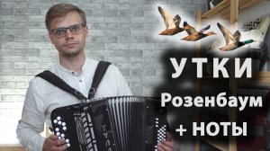 УТКИ НА БАЯНЕ + НОТЫ