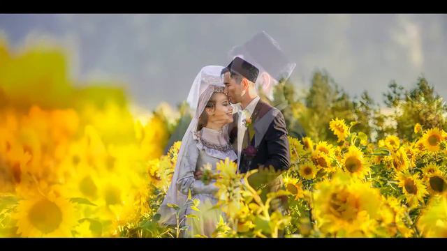 Никах Рашита и Бану смотреть онлайн