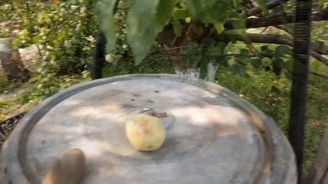 БУРЕНИЕ в ДОМе ЧАСТ 1 (1 ИЗ 5) Что то пошло не так! смотреть онлайн