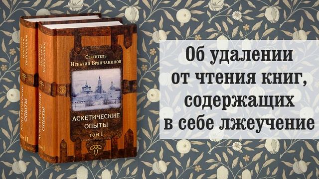6. Об удалении от чтения книг, содержащих в себе лжеучение. Игнатий Брянчанинов смотреть онлайн