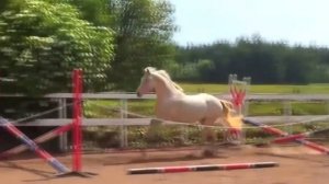 Жеребёнок, жеребёнок   Белой лошади ребёнок