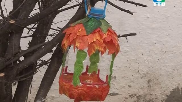 Школьники 259 гимназии изготовили своими руками кормушки для птиц смотреть онлайн