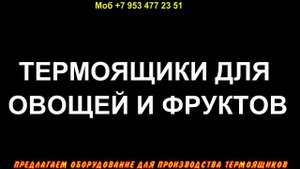 Термоконтейнер из пенопласта