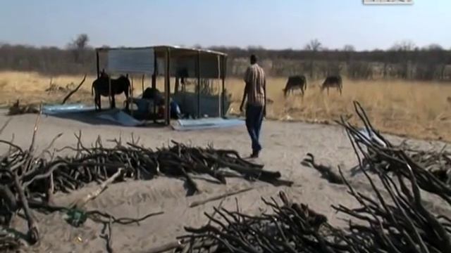 Ambassador Nicky Nashandi accused of destroying Onamutayi villager's homestead - NBC смотреть онлайн