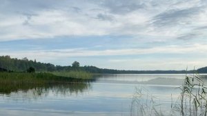 Отдых с палаткой. Смоленское поозерье, озеро Рытое, июль 2023 года, ч. 2