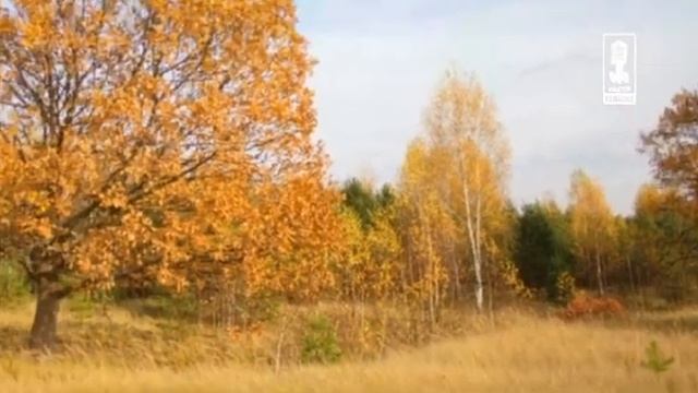 Детские   Одна Лошадка Белая