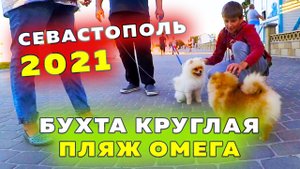 Шпиц в Крыму. Бухта Круглая. Пляж Омега. Памятник Андрею Первозванному. Провожаем закат