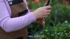 Фильм "Все начинается с идеи" для канала "Юлина ферма"