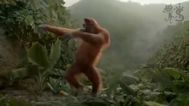 Завтра понедельник.!!! смотреть онлайн