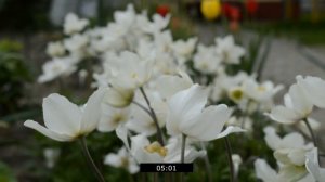 ОТЕЦ проучил ГУЛЯЩУЮ ДОЧЬ которая встречалась сразу с двумя парнями... Рассказ. История из жизни