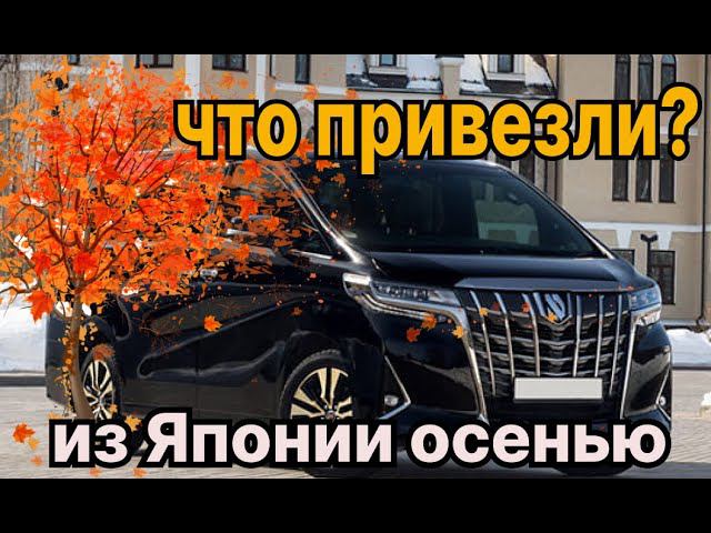 Что везут из Японии? Октябрь 2022. Стоянка "Север-ДВ"
