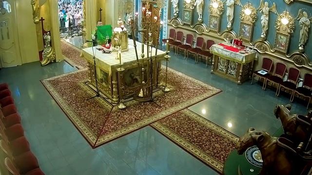 Пряма трансляція Богослужінь з Архикатедрального Собору НЗПБ м. Тернопіль УГКЦ смотреть онлайн