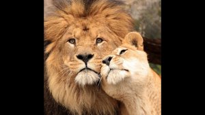 "ТЫ - САМЫЙ, САМЫЙ, САМЫЙ..." КТО ТАКАЯ МАГИРАНИ Часть 2