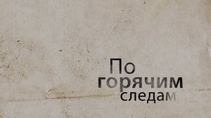 По горячим следам: Полицейские задержали подозреваемую в причинении тяжкого вреда здоровью