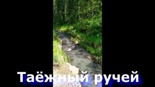 Реки Кузбасса. Залипательное видео с красивой природой.