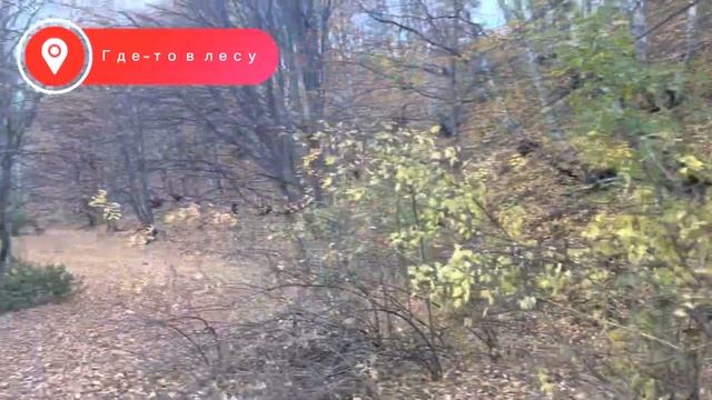 Поездка в знаменитое ДАГЕСТАНСКОЕ село..ГУНИБ..Красоты сулакского каньона??#гуниб #дагестан