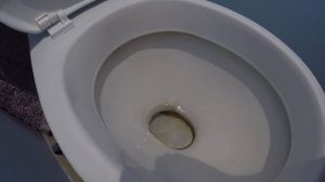 Перекись и Аммиак НЕ УДАЛЯЮТ камень в унитазе,это МИФ!Враньё блогеров о чудо-аммиаке ради просмотро