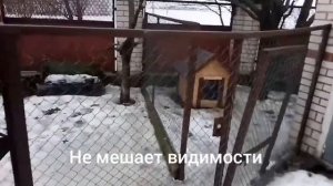 Силиконовая шторка для собачьей будки | Шторка на будку для собаки