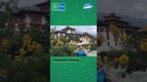 A Young Journalist's Day Bhutanese food, draw Freddy and Freida, visit the Punakha Dzong palace